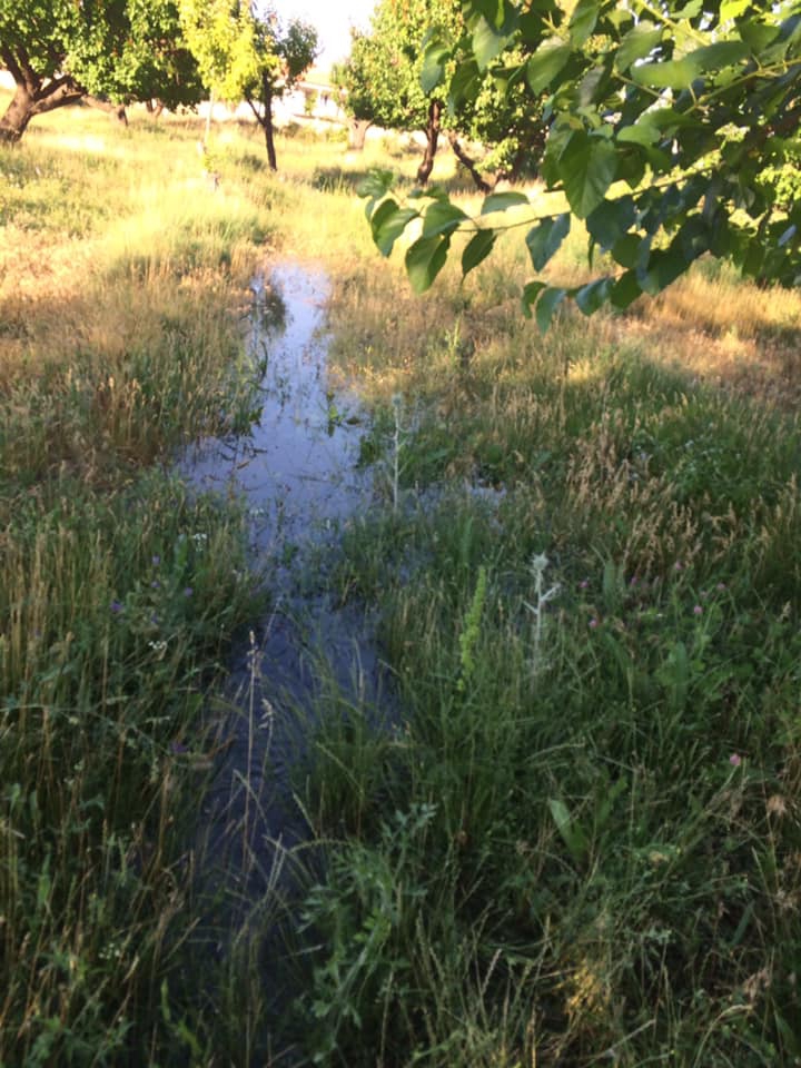 Ereğli Aydınlar Köyü Resimleri 5