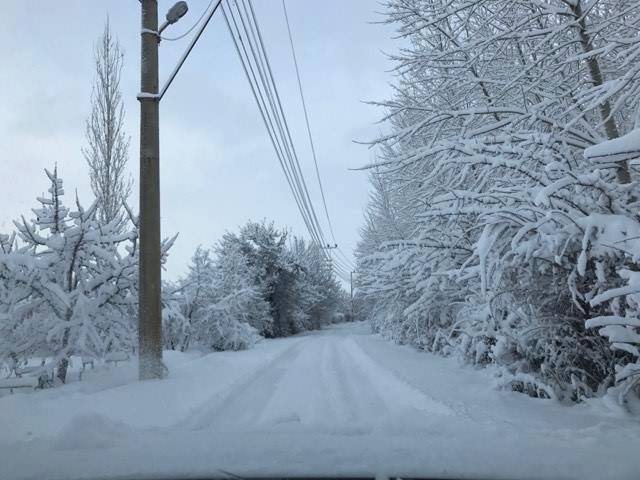 Ereğli Belceağaç Köyü Resimleri 3