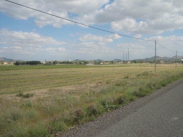 Ereğli Belkaya Köyü Resimleri 5