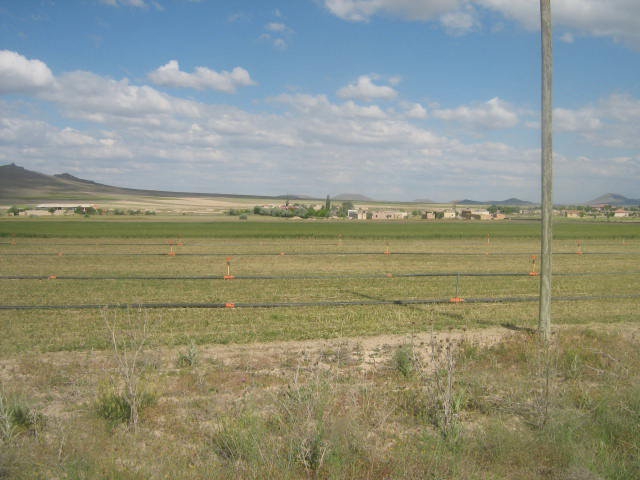 Ereğli Belkaya Köyü Resimleri 8