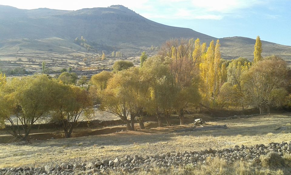 Ereğli Beyören Köyü Resimleri 4