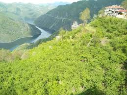 Erbaa Şükür Köyü Resimleri 2