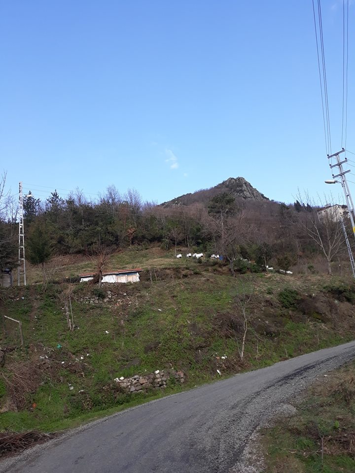 Ereğli Çiller Köyü Resimleri 5