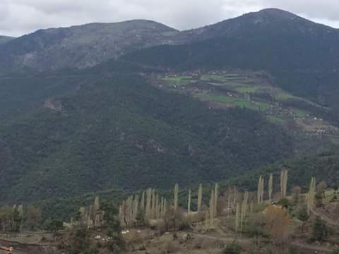 Erbaa Türkfındıcak Köyü Resimleri 2