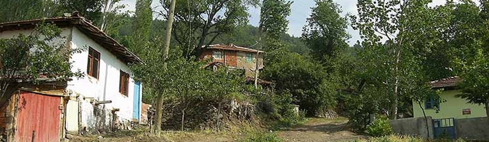 Erbaa Türkfındıcak Köyü Resimleri 3