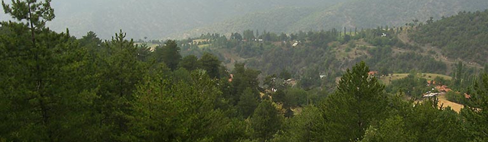 Erbaa Türkfındıcak Köyü Resimleri 4