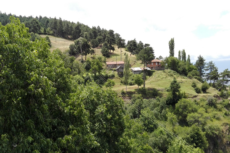 Erbaa Türkfındıcak Köyü Resimleri 6