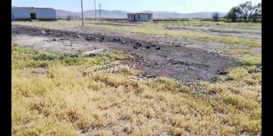 Ereğli Dalmaz Köyü Resimleri