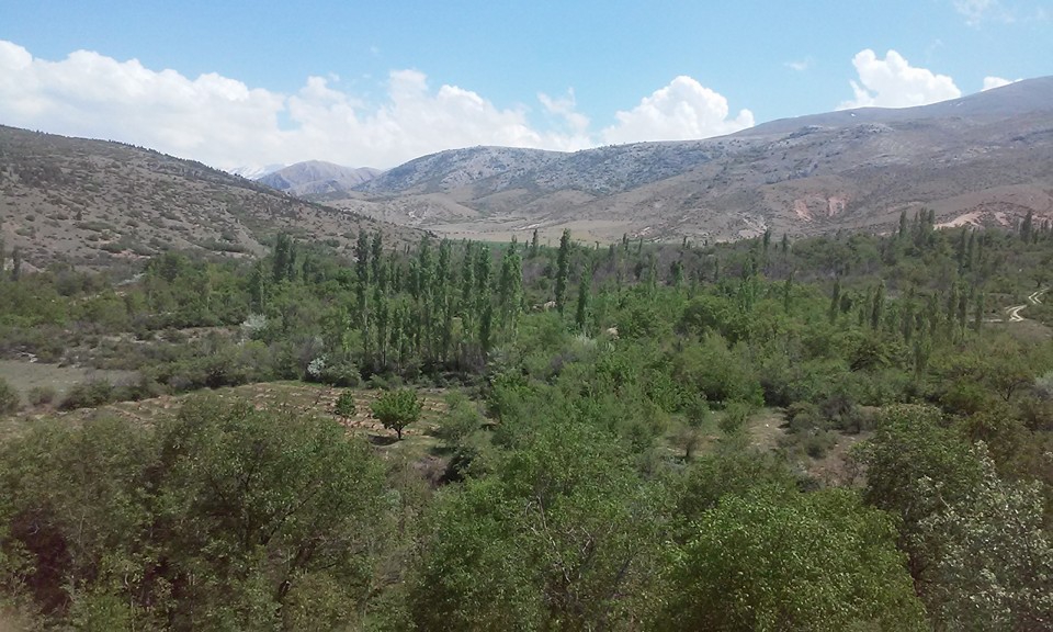 Ereğli Gaybi Köyü Resimleri 10