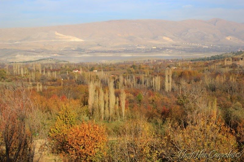 Ereğli Gaybi Köyü Resimleri 4