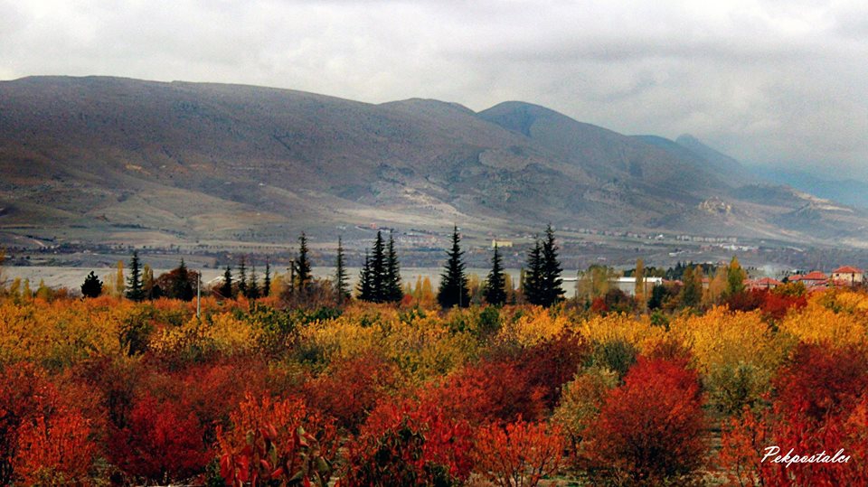 Ereğli Gaybi Köyü Resimleri 7