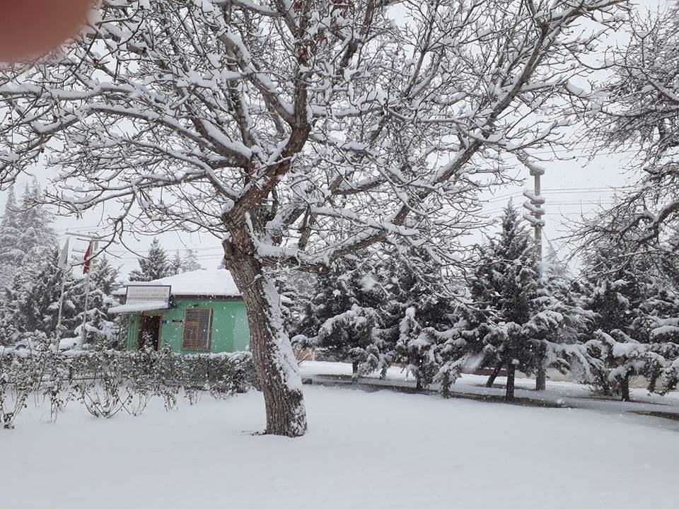 Ereğli Gülbahçe Köyü Resimleri 2