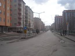 Ereğli Hamidiye Köyü Resimleri 6