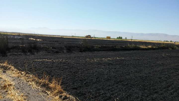 Ereğli Hortu Köyü Resimleri 1