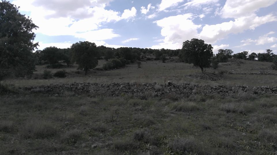 Ereğli Kızılgedik Köyü Resimleri 6