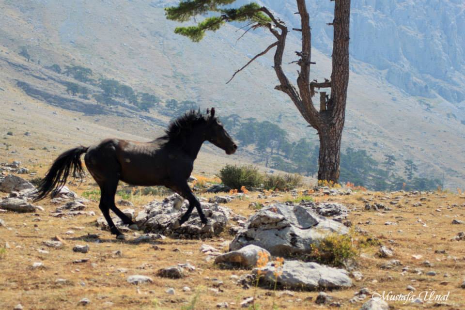 Aksu Eldere Köyü Resimleri 11