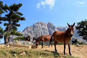 Aksu Eldere Köyü Resimleri 5
