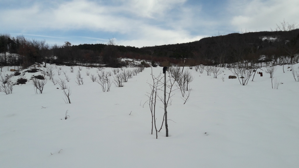Erbaa Yaylalı Köyü Resimleri 7