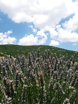 Aksu Kösre Köyü Resimleri 6