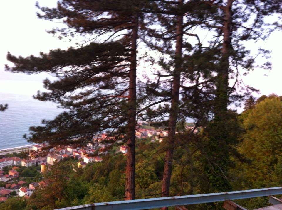 19 Mayıs  Bahçelievler Köyü Resimleri 6