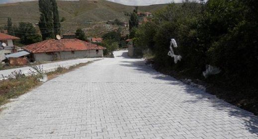 19 Mayıs  Çamlıca Köyü Resimleri 8