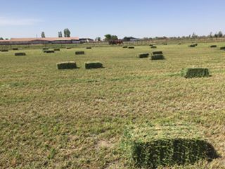 Ereğli Türkmen Köyü Resimleri 4