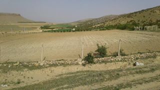 Ereğli Yellice Köyü Resimleri 1