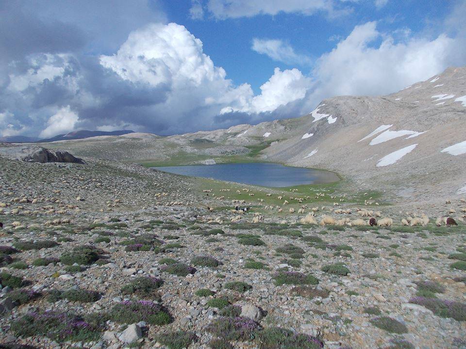 Ereğli Yellice Köyü Resimleri 5
