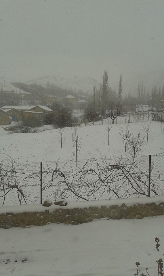 Ereğli Yellice Köyü Resimleri 7