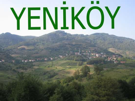 Ereğli Yeniköy Köyü Resimleri 1