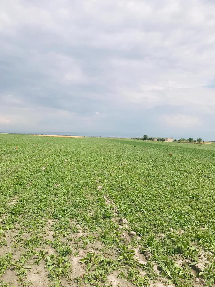 Ereğli Yeniköy Köyü Resimleri 4