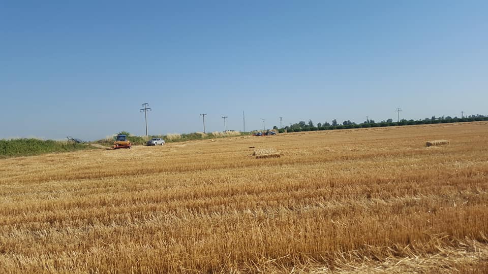 Ereğli Yeniköy Köyü Resimleri 5