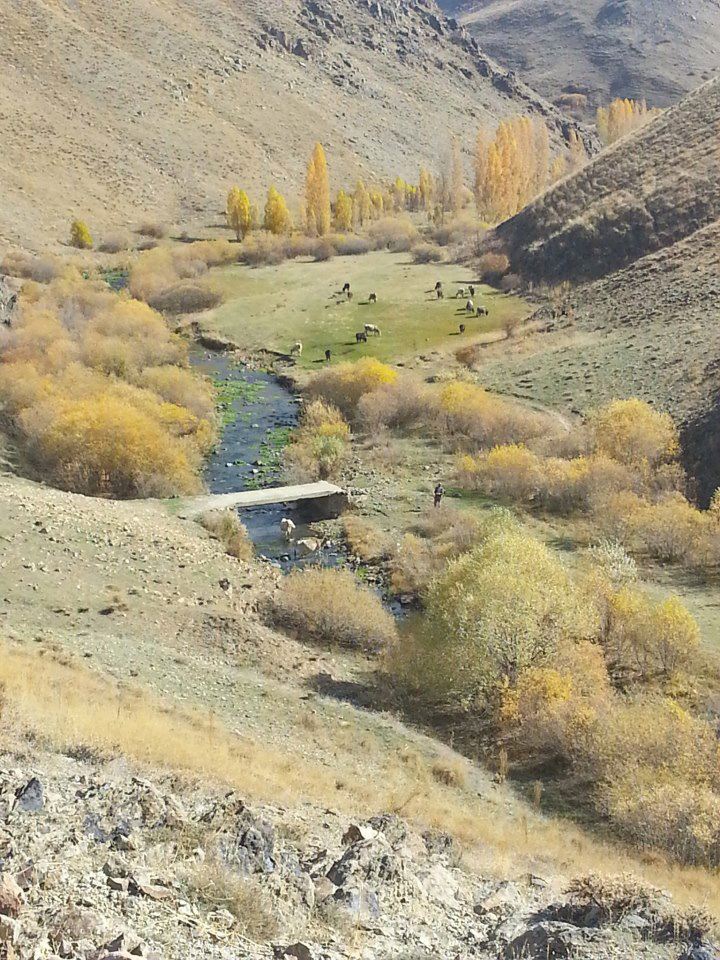 Aşkale Gölören Köyü Resimleri 8