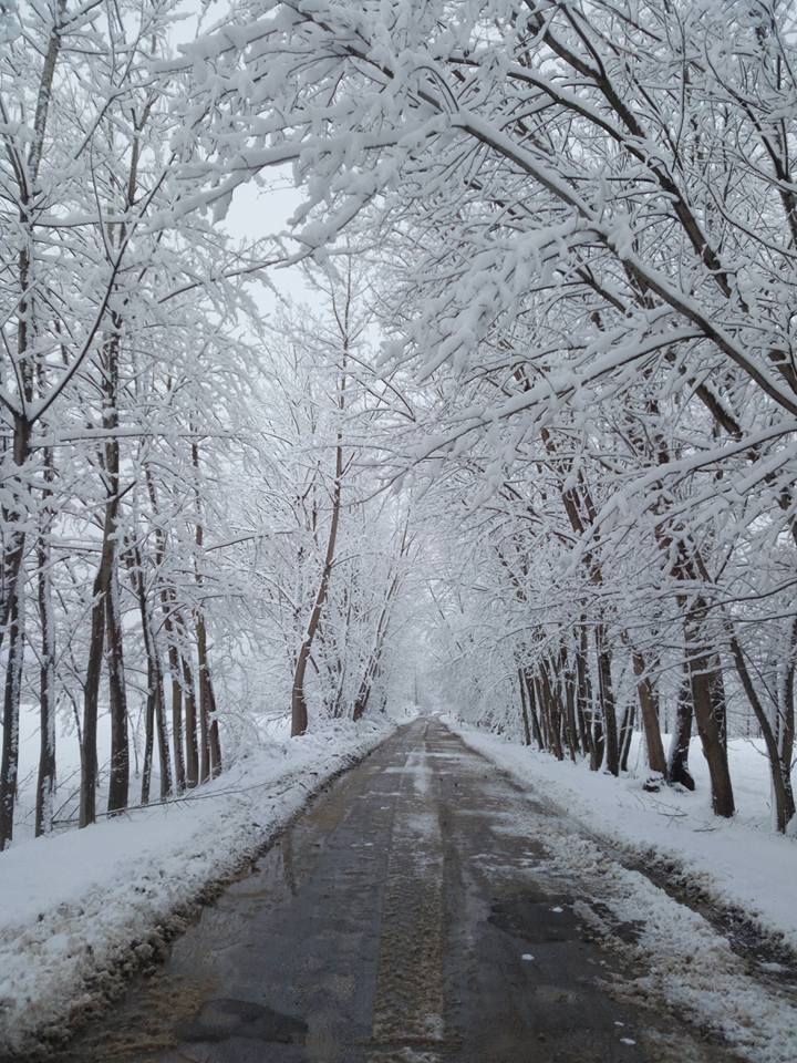 Pazar Çiftlikköy Köyü Resimleri 9