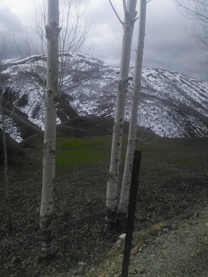 Aşkale Musadanışman Köyü Resimleri 3