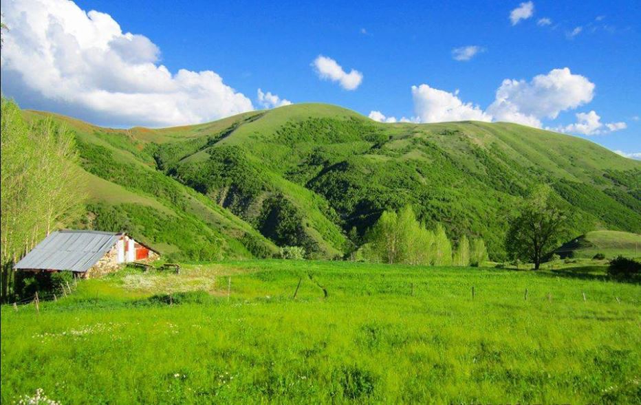 Aşkale Musadanışman Köyü Resimleri 5
