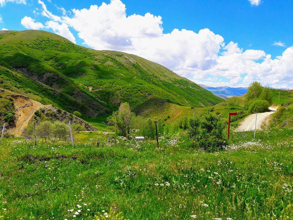 Aşkale Musadanışman Köyü Resimleri 6