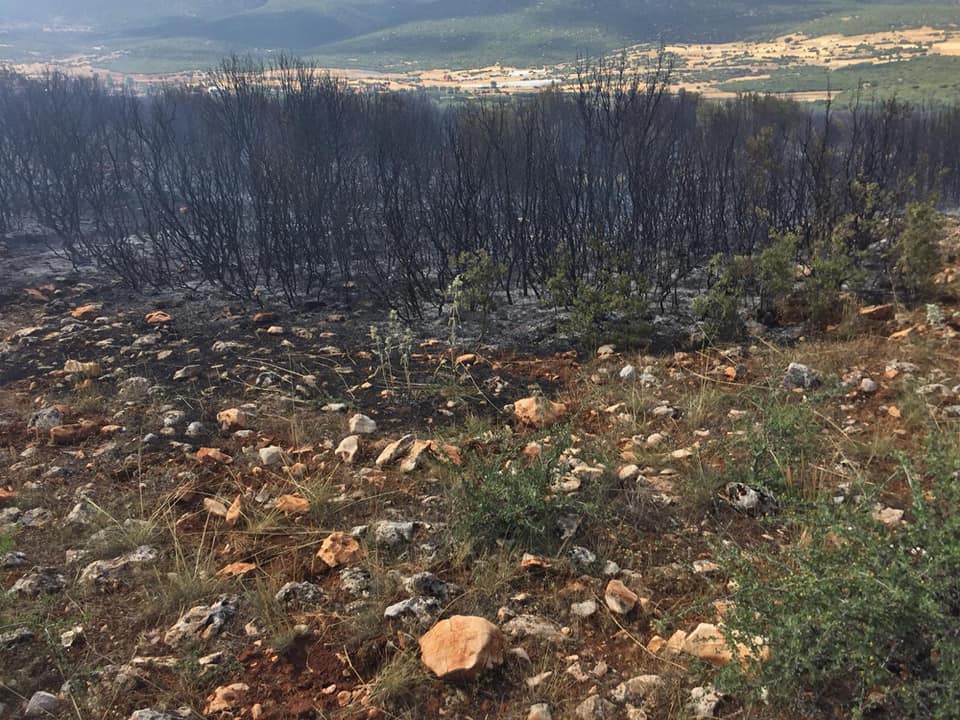 Gelendost Akdağ Köyü Resimleri 3