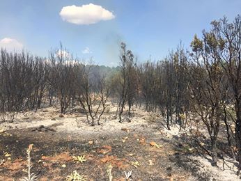 Gelendost Akdağ Köyü Resimleri 4
