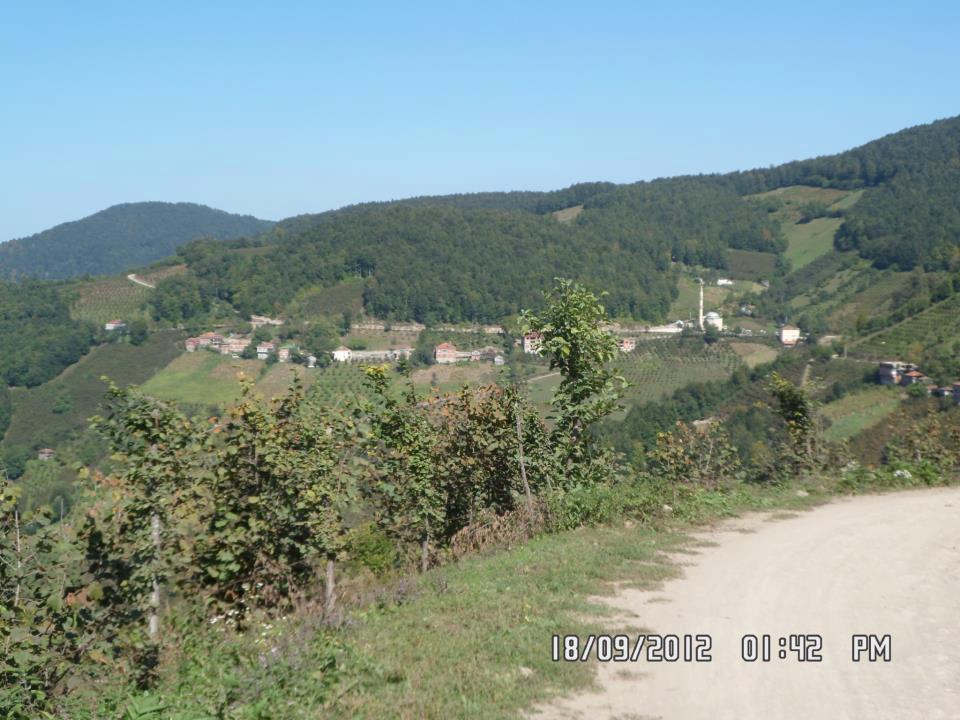 Korgan Yeşilalan Köyü Resimleri 1