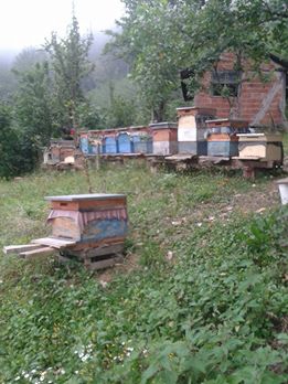 Korgan Yeşilyurt Köyü Resimleri 3