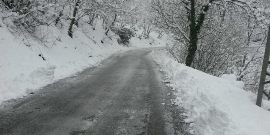 Kumru Ağcaalantürk Köyü Resimleri