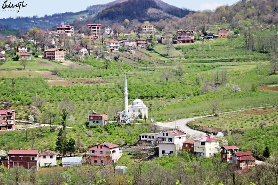 Kumru Akçadere Köyü Resimleri 8