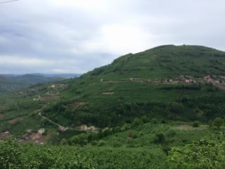 Kumru Avdullu Köyü Resimleri 2