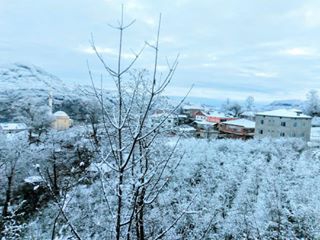 Kumru Avdullu Köyü Resimleri 4