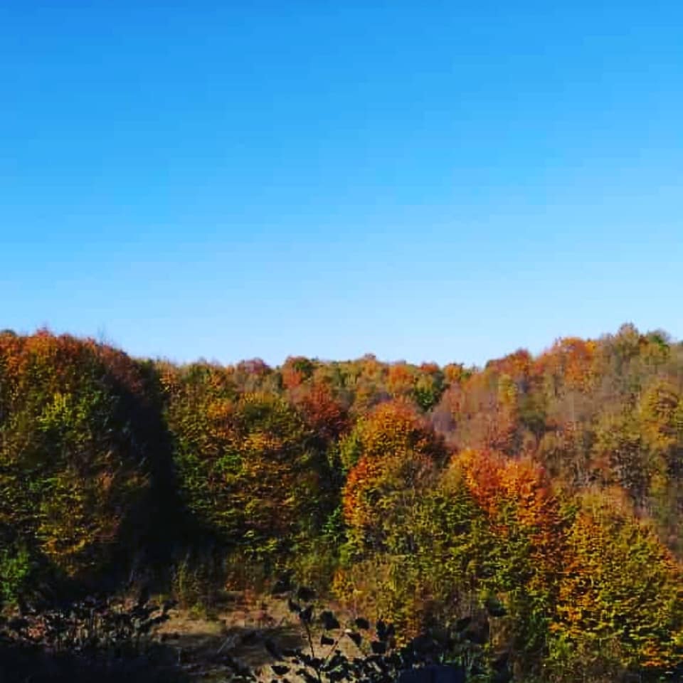 Kumru Ayvalı Köyü Resimleri 3