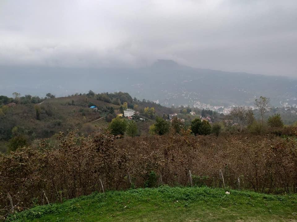 Kumru Ayvalı Köyü Resimleri 4