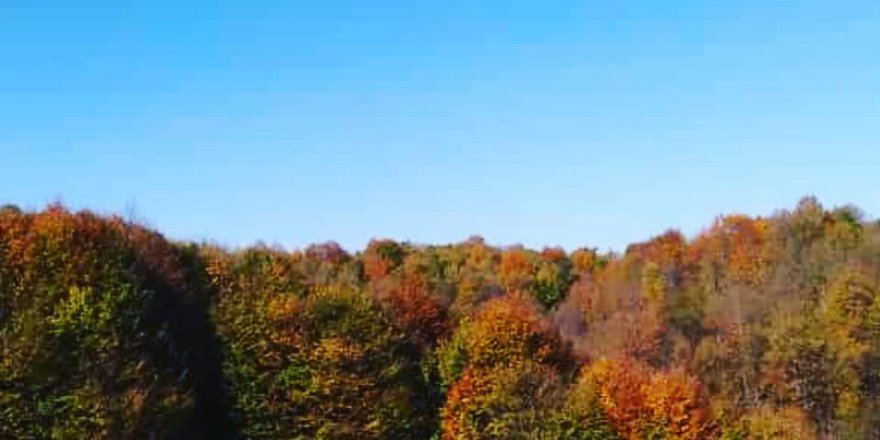 Kumru Ayvalı Köyü Resimleri