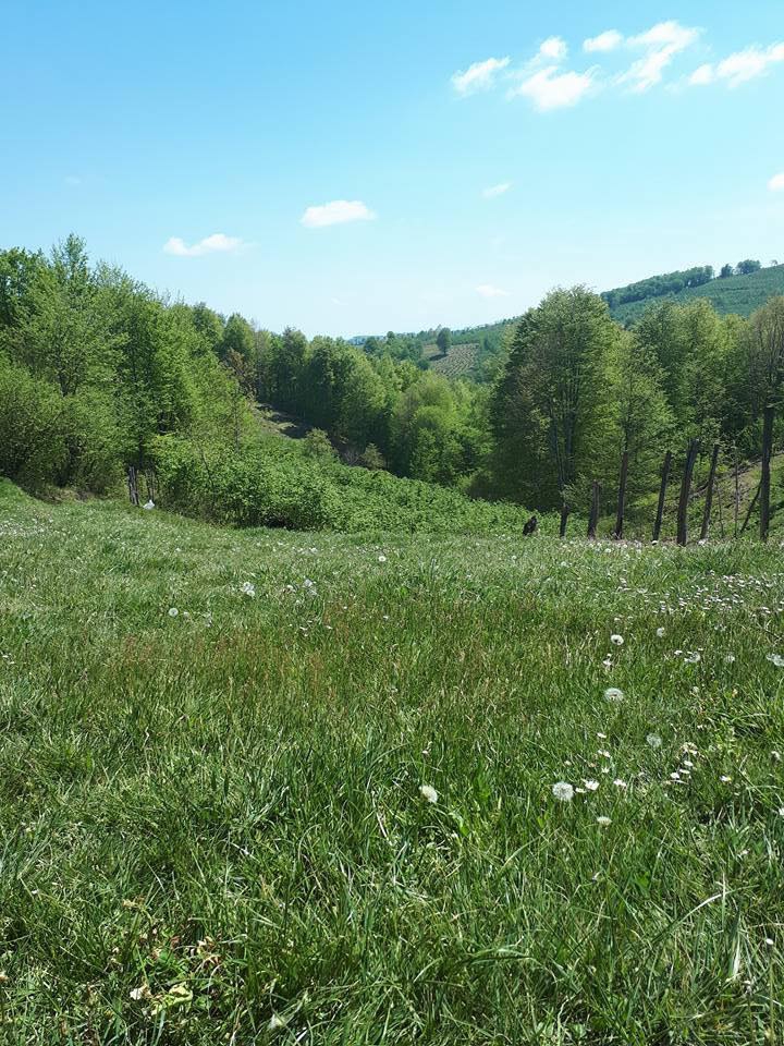 Kumru Balı Köyü Resimleri 5