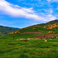 Kumru Balı Köyü Resimleri 8